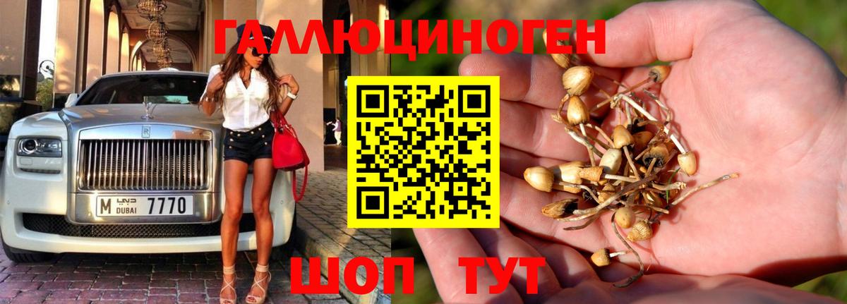Ачинск  Галлюциногенные грибы мухоморы  Вход с VPN 